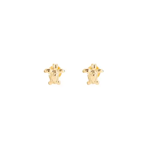 [3942] 3942 Broquel Tortuga