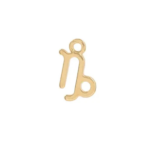[5313445] 5313445 Signo Capricornio 2 Pz